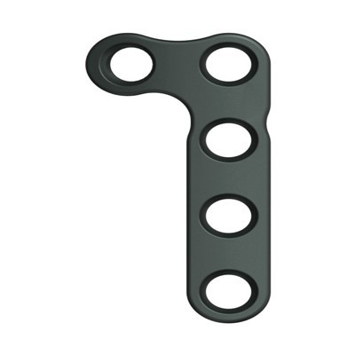 l صفحه متاکارپال شکل